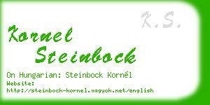 kornel steinbock business card